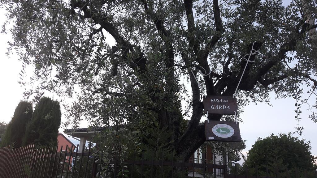B&B Rosa Del Garda Lazise Exterior foto